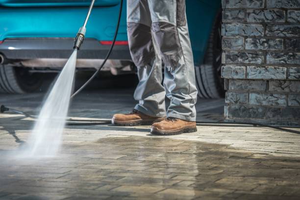 Best Dumpster Area Cleaning  in Cienegas Terrace, TX