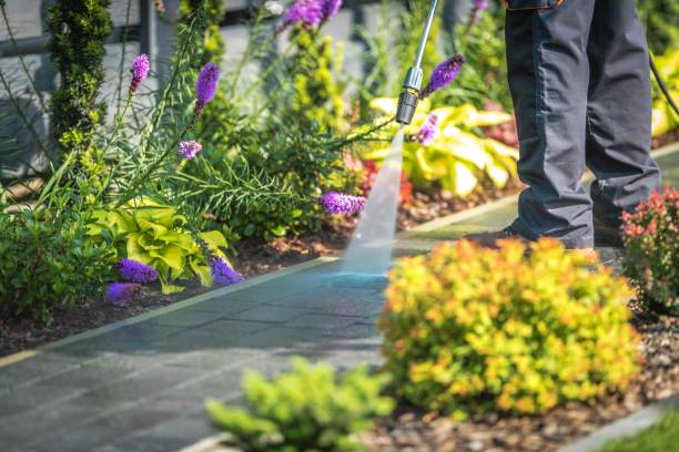 Best Parking Lot and Garage Cleaning  in Cienegas Terrace, TX