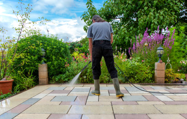 Reliable Cienegas Terrace, TX Pressure Washing Solutions