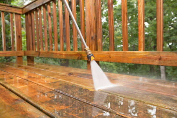 Best Solar Panel Cleaning  in Cienegas Terrace, TX